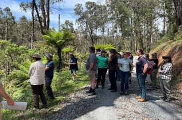 {{brizy_dc_image_alt imageSrc=